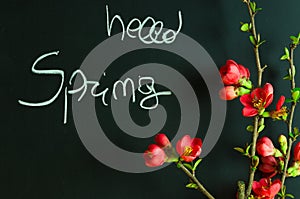 `hello spring` written with white chalk on chalkboard