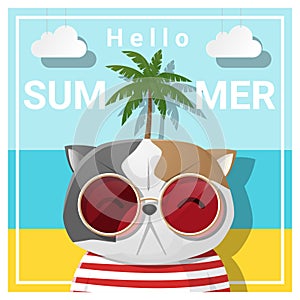 Hello summer background with cat wearing sunglasses