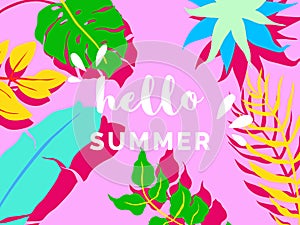 Hello summer banner/background template design, tropical plants on pink, colorful vibrant tones