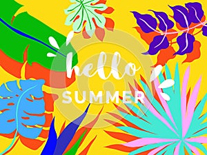 Hello summer banner/background template design, tropical plants on yellow, colorful vibrant tones