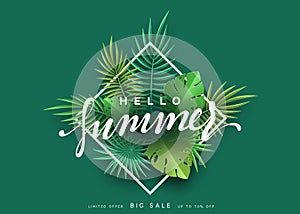 Hello Summer banner tropical background. Summer season, design poster with green leaves.