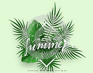 Hello Summer banner tropical background. Summer season, design poster with green leaves