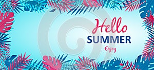 Hello Summer banner with tropical jungle plants