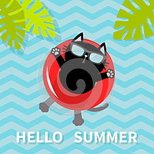 Hello Summer. Black cat floating on red air pool water circle. Lifebuoy. Palm tree leaf. Cute cartoon relaxing character. Sunglass