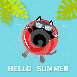 Hello Summer. Black cat floating on red air pool water circle. Sunglasses. Lifebuoy. Palm tree leaf. Cute cartoon relaxing charact