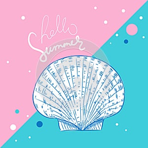 Hello summer card banner. scallop is a marine bivalve mollusc of the family Pectinidae Unique museum sea shell sea snail. Sketch