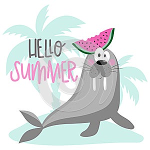 Hello Summer- Cute walrus with watermelon and island. Isloated on white background.