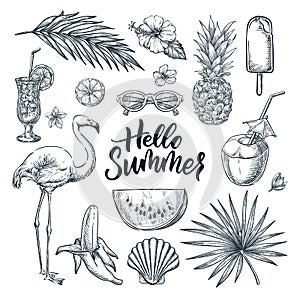 Hello summer hand drawn calligraphy lettering and tropical design elements set. Vector sketch illustration