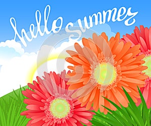 Hello Summer Lettering and Realistic Gerbera Flowers. Summer background design for your holiday poster, banner, headline text.