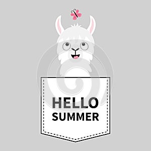 Hello summer. Llama alpaca face head in the pocket. Butterfly. Cute cartoon animals. Kawaii character. Dash line. White and black