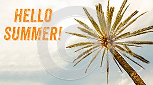 Hello Summer orange text and Palm Tree against sunny clear sky panoramic background. Summer concept.