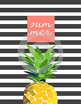 hello summer pineapple illustration.