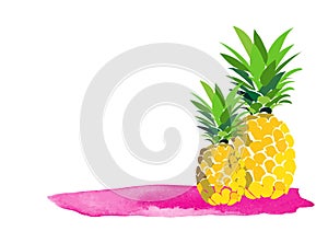 Hello summer pineapple illustration. greeting card. graphic trendy vector drawing. poster banner.