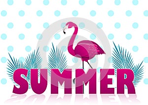 Hello Summer Poster with flamingo and banana leaves. Vector illustration
