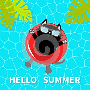 Hello Summer. Swimming pool water. Black cat floating on red pool float water circle. Top air view. Sunglasses. Lifebuoy. Palm tre