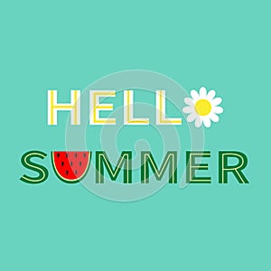 Hello summer text. Camomile daisy chamomile watermelon icon letter. Healthy food, flower. Slice cut half seeds. Green Red fruit