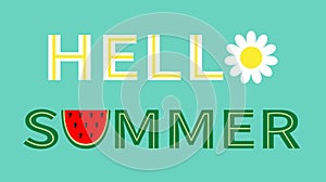 Hello summer text. Camomile daisy chamomile watermelon icon letter. Slice cut half seeds. Green Red fruit berry flesh peel.