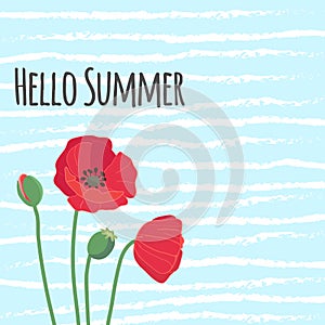 Hello summer text with cute colorful red field poppy flowers on