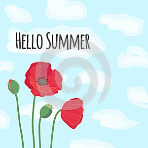 Hello summer text with cute colorful red field poppy flowers on