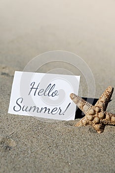 HELLO SUMMER text on paper greeting card on background of starfish seashell summer vacation decor. Sandy beach sun coast