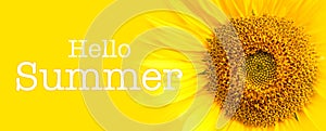 Hello Summer text and sunflower close-up details in yellow banner background