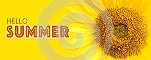 Hello Summer text and sunflower close-up details on yellow banner background macro photo.