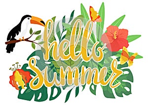 Hello summer text, toucan sit on flower, isolated on white, cartoon vector illustration. Design travel logo, web banner