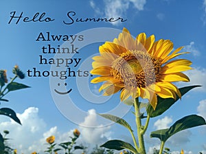 Hello Summer. Always think happy thoughts. Summer inspirational quotes, positive motivational quote with smiling sunflower blossom