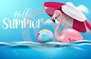 Hello summer vector banner design. Hello summer text with flamingo and beachball floating in sea water for summer relax and enjoy.