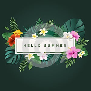 Hola verano ilustraciones móvil a los medios de comunicación formato publicitario destinado principalmente a su uso en sitios web verano tarjeta invitación de fiesta plantilla 