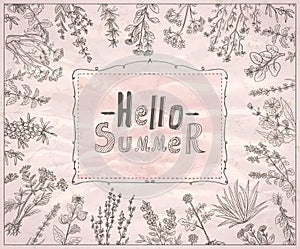 Hello summer vector quote card mockup with herbal frame