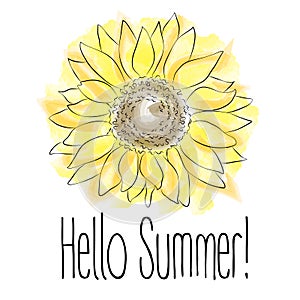 Hello Summer! Yellow Sunflower Vector illustration on white background