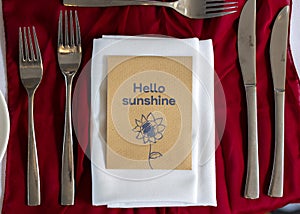 Hello sunshine flower sweets as favour to wedding guests