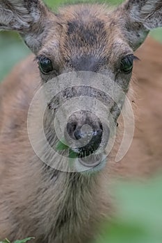 Hello there how are you