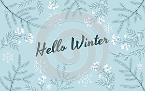Hello winter flat vector illustration and fir branches
