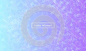 Hello Winter Layout with Snowflakes for Web, Landing Page, Banner, Poster, Website Template. Snow Christmas Background