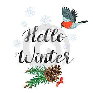 Hello winter. lettering with spruce branch and bird