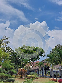 Hellooo my favourite sky