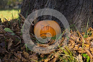 Helloween angry face pumpkin outside