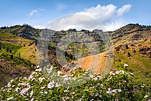 Hells Canyon National Recreation Area