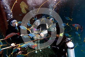 Helmet Diving in the Great Barrier Reef Queensland Australia