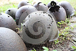 Helmets of Soviet soldiers of the Great Patriotic War