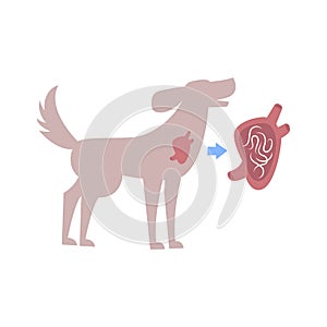 Helminths Flat Composition