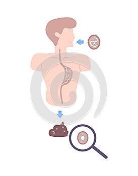 Helminths Flat Composition