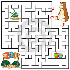 Help Bear to find the right path to Zoo, balls, grass. 3 entrances, 3 way. Square Maze Game with Solution. Answer under the layer photo