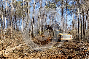 With help of an excavator worker uproots trees in forest, preparing ground for building a house