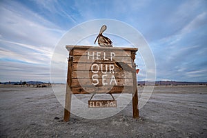 Help our sea sign on Bombay Beach