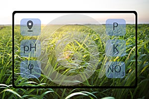 With the help of the tablet determine the state of the field and the plants planted in it. Smart farming.