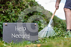 Help wanted in the garden. Man is raking leaves of a freshly cut hornbeam hedge. The words