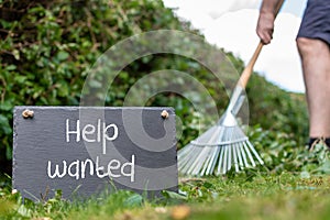 Help wanted in the garden. Man is raking leaves of a freshly cut hornbeam hedge. The words